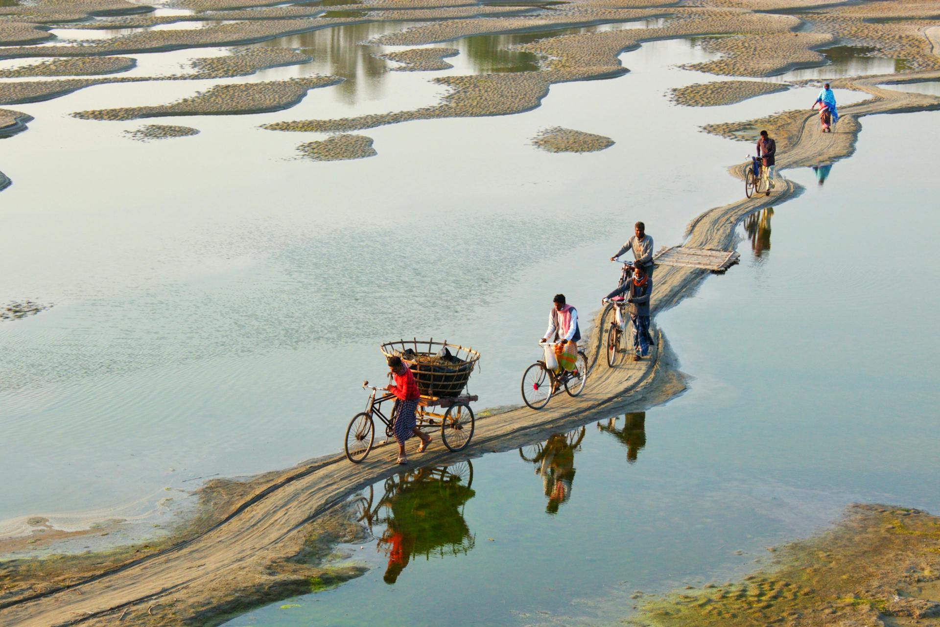 营养学专家李博士